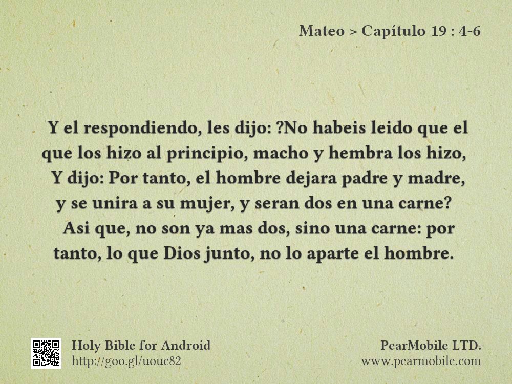 Mateo, Capítulo 19:4-6